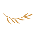 hoja-01.png