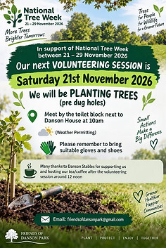 November 2026 Volunteering.jfif