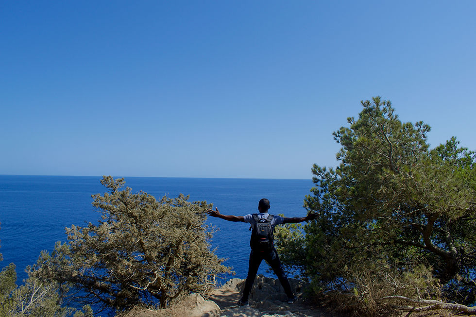 Toulon-13
