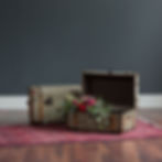 Vintage Travel Trunks