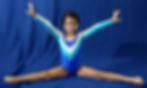 Ginástica artística