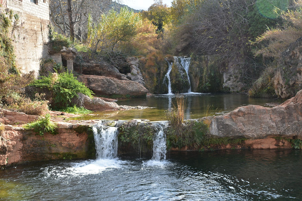 Font de Rabosa
