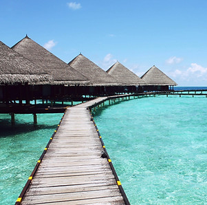 snapwiresnaps-paradise-598201_1920.jpeg