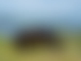 Norsk Hestesenter søker ny stallmester