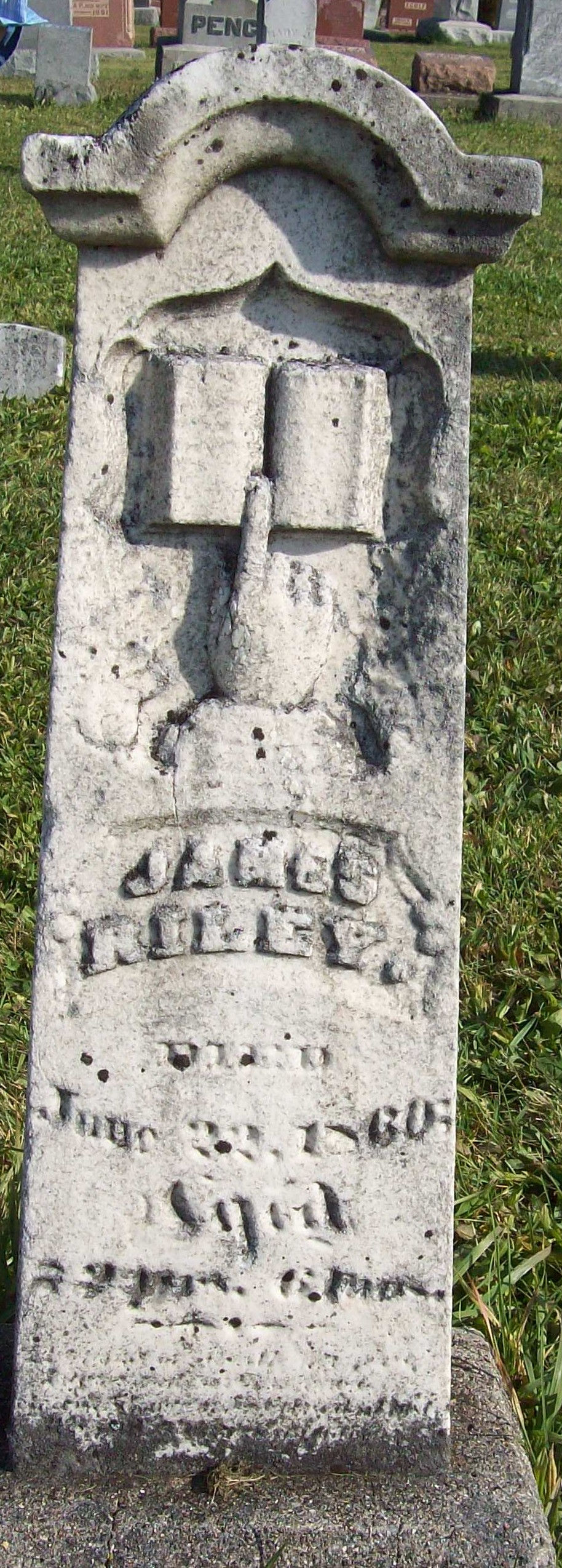 Spatial and Genealogical Reconstruction of the Riley Family Burials in Blue River Cemetery, Thorncreek Township, Whitley County, Indiana