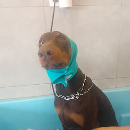 WhatsApp Image 2025-11-01 at 09.18_edited.jpg