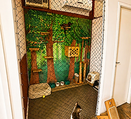 ChatGPT Image 25 de abr. de 2026, 09_27_26.png