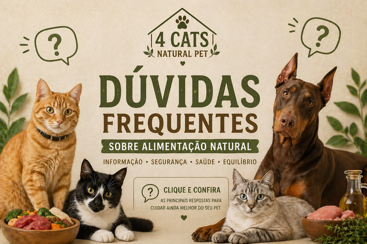 ChatGPT Image 25 de abr. de 2026, 10_58_05.png