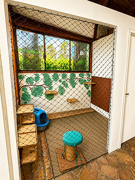ChatGPT Image 25 de abr. de 2026, 09_26_14.png