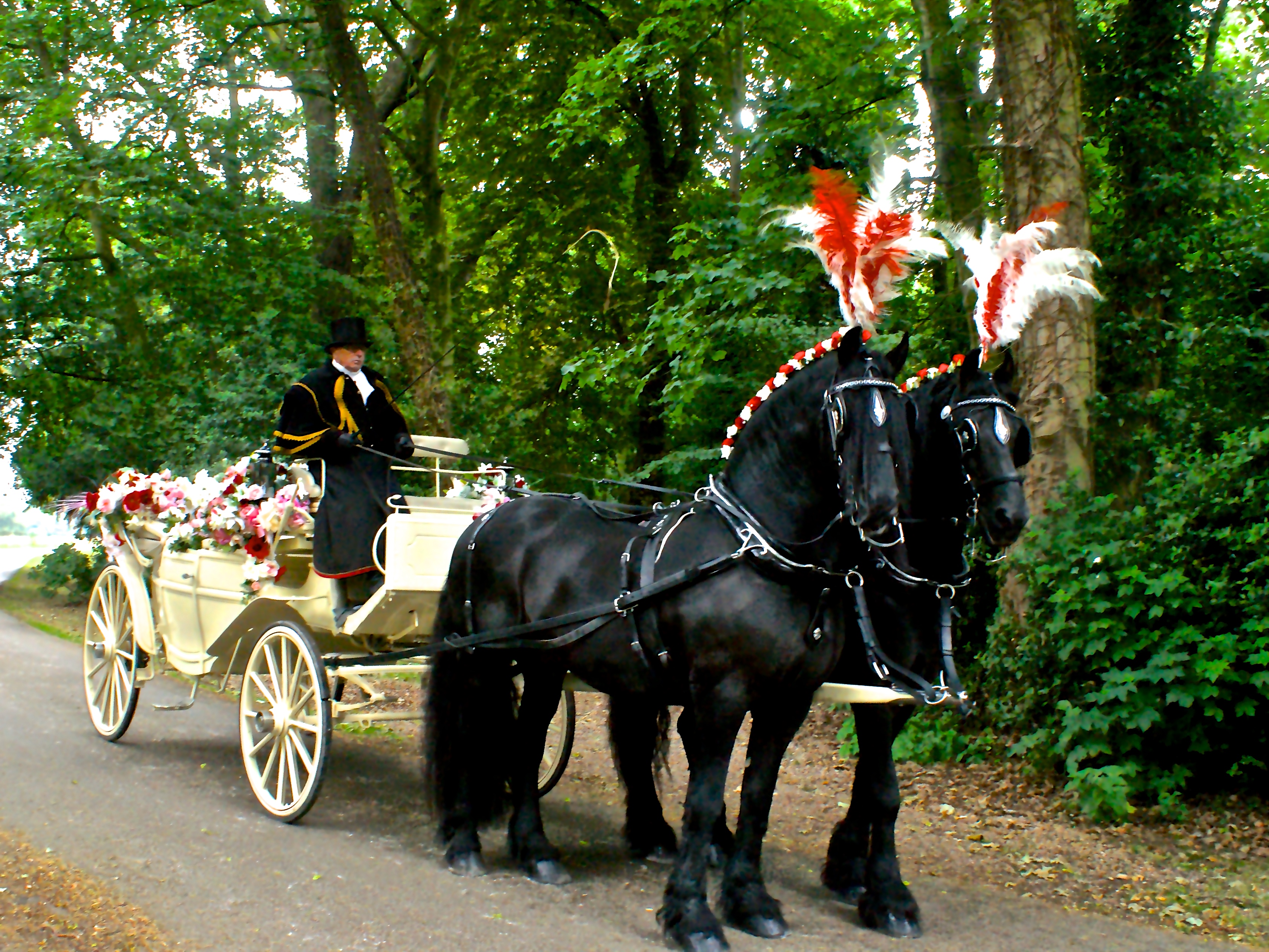 KRM Horse Drawn Carriages, wedding carriages, yorkshire