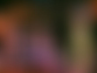 Primeras confirmaciones del Womad Cáceres 2018