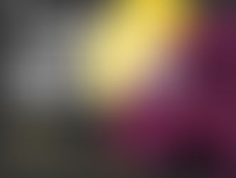 RCFM Radio oficial del FESTIBALMES 2023