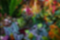 Screen Shot 2022-06-10 at 9.59.09 PM.png