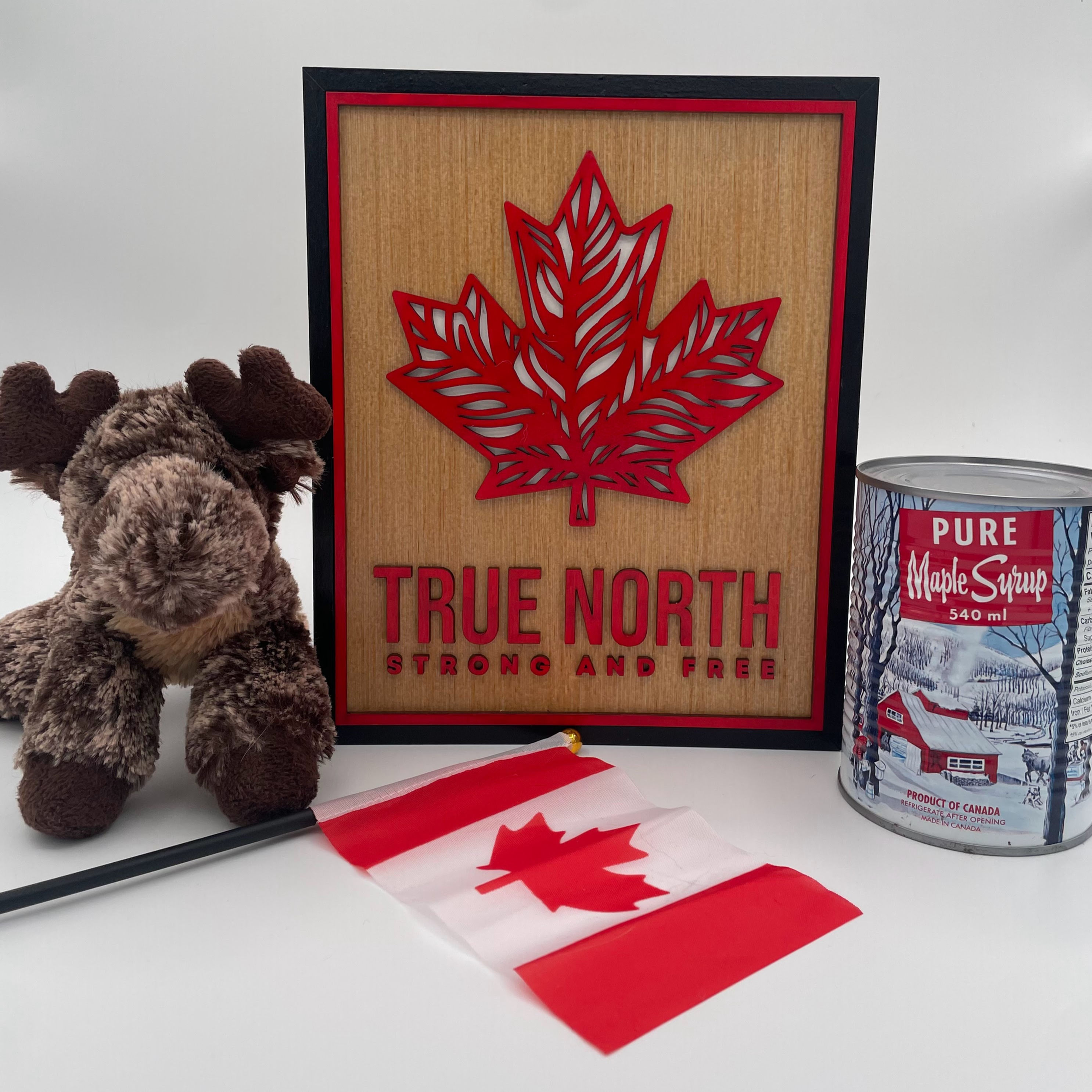 True North Wall Hanger