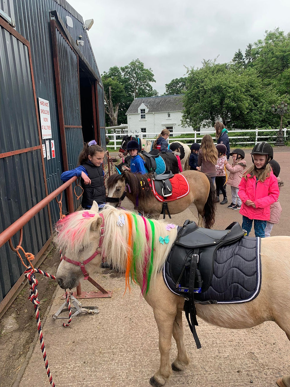 Easter Pony Ride & Play