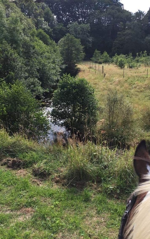 Horse Riding Turlood Equestrian Lesmahagow
