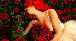 tumblr_lypuqjjq7I1r5he60o1_500_large-e1329266864914.jpeg