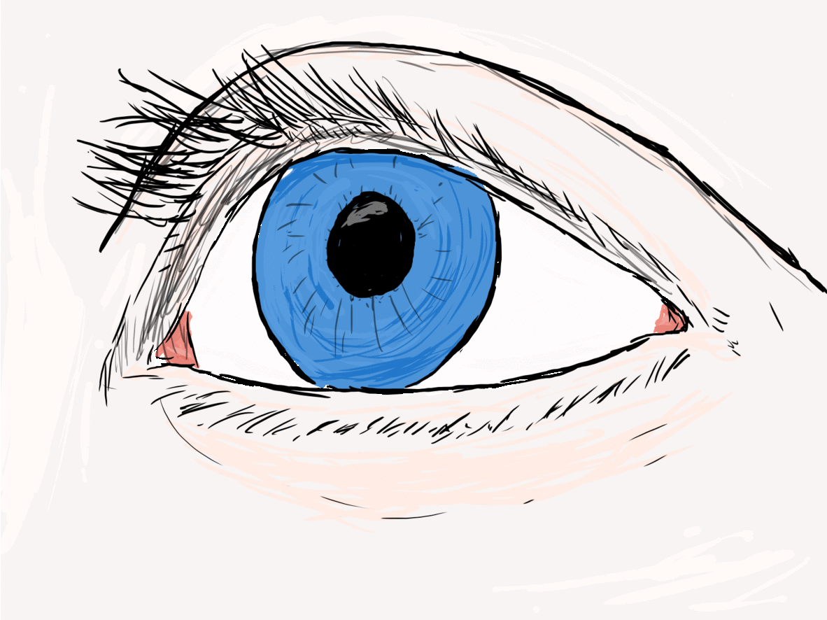 d9qaqwi-d80c1af7-9eef-4c7d-9e75-a2eca103f571.gif