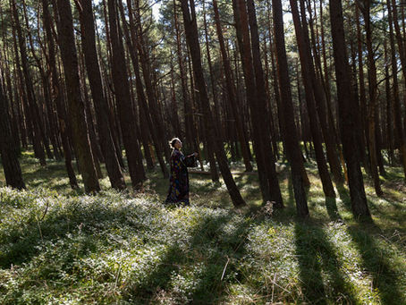 Kaip vyksta koučingo sesija ir kokia jos nauda?