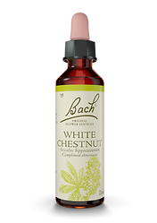 WHITE CHESTNUT.png