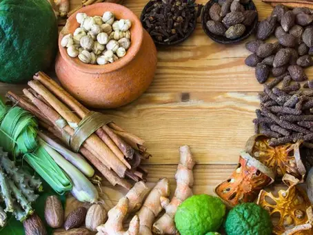 Top 10 Medicinal Plants to Grow at Home