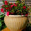Thumbnail: Large, ceramic & bamboo indoor planter