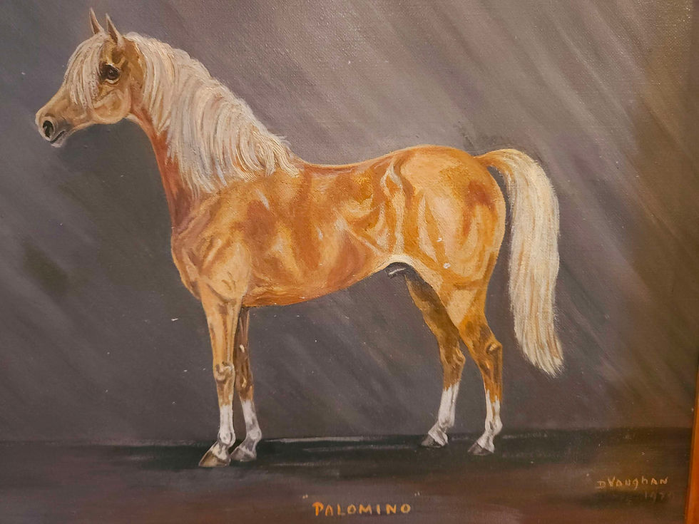 Thumbnail: Large mid-Century oil on canvas of Palomino stallion dated 1970
