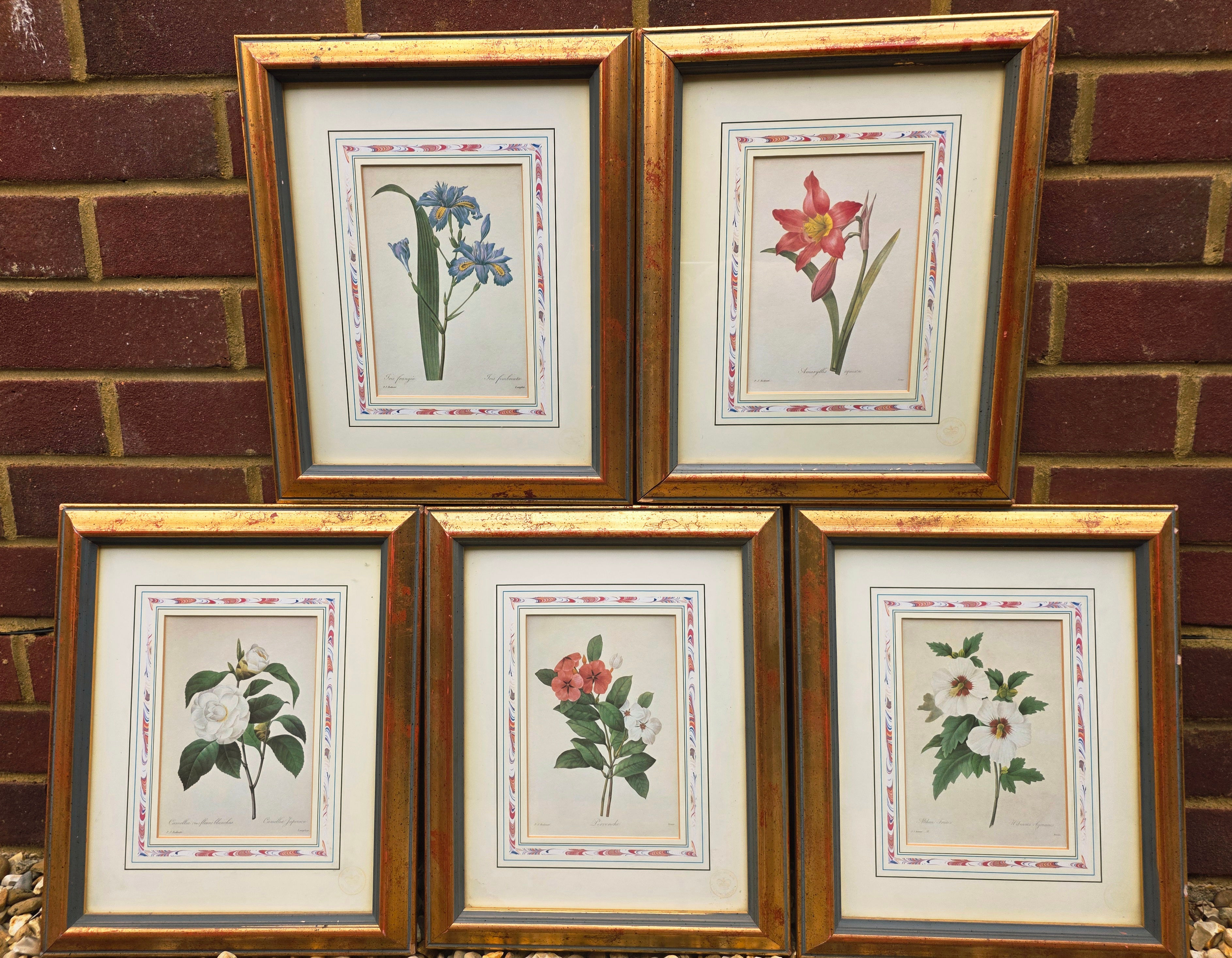 Set of 5 exquisite limited edition botanical prints by Pierre-Joseph Redouté