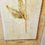 Thumbnail: Pair of large, framed Oriental style botanical prints in neutral tones