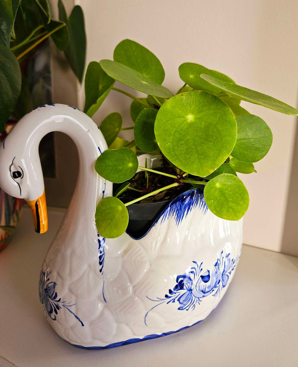 Thumbnail: Unusual, hand-painted swan plant pot, made in Portugal by R.C. Cal