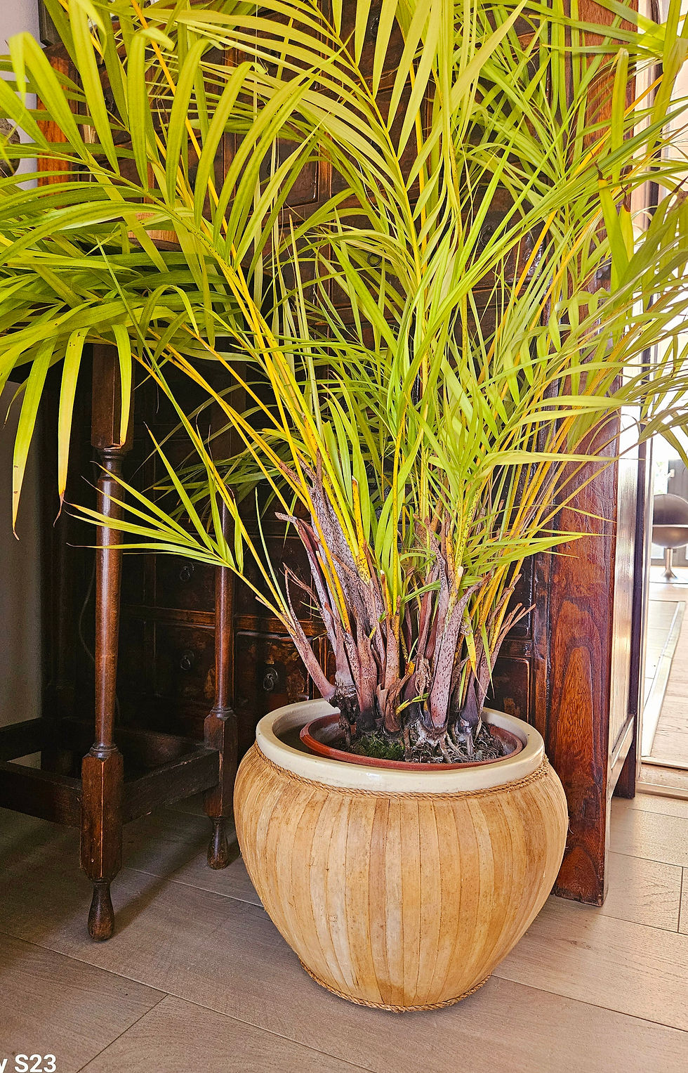 Thumbnail: Large, ceramic & bamboo indoor planter