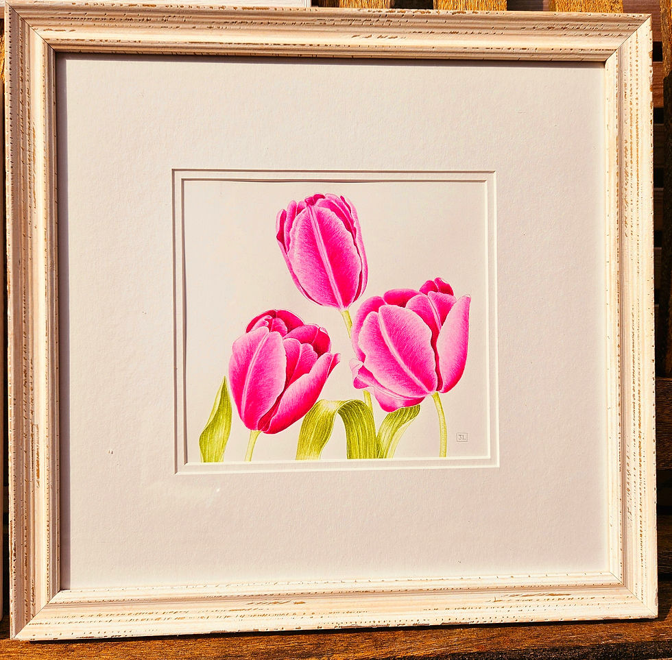 Thumbnail: Trio of exquisite botanical floral watercolours in white wood frames