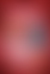 Harbor Sharks: Love Is in the Air Raffle!!!