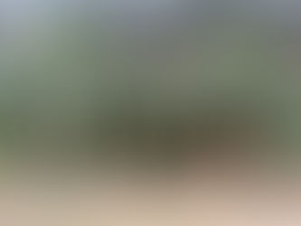 Thank you — and what your support is making possible in 2026