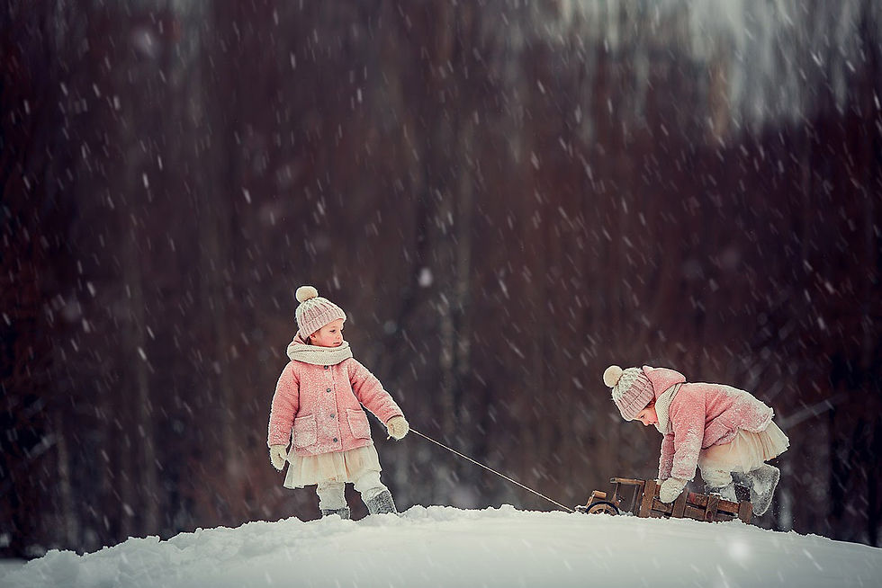 ПАДАЮЩИЙ СНЕГ