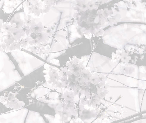 Ikigai psicologos en getafe.jpg