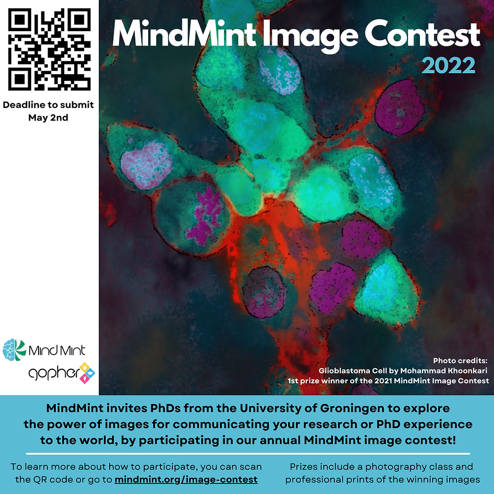 mindmint