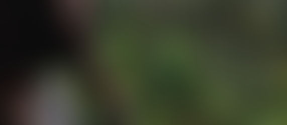 A quest for the sound of nature