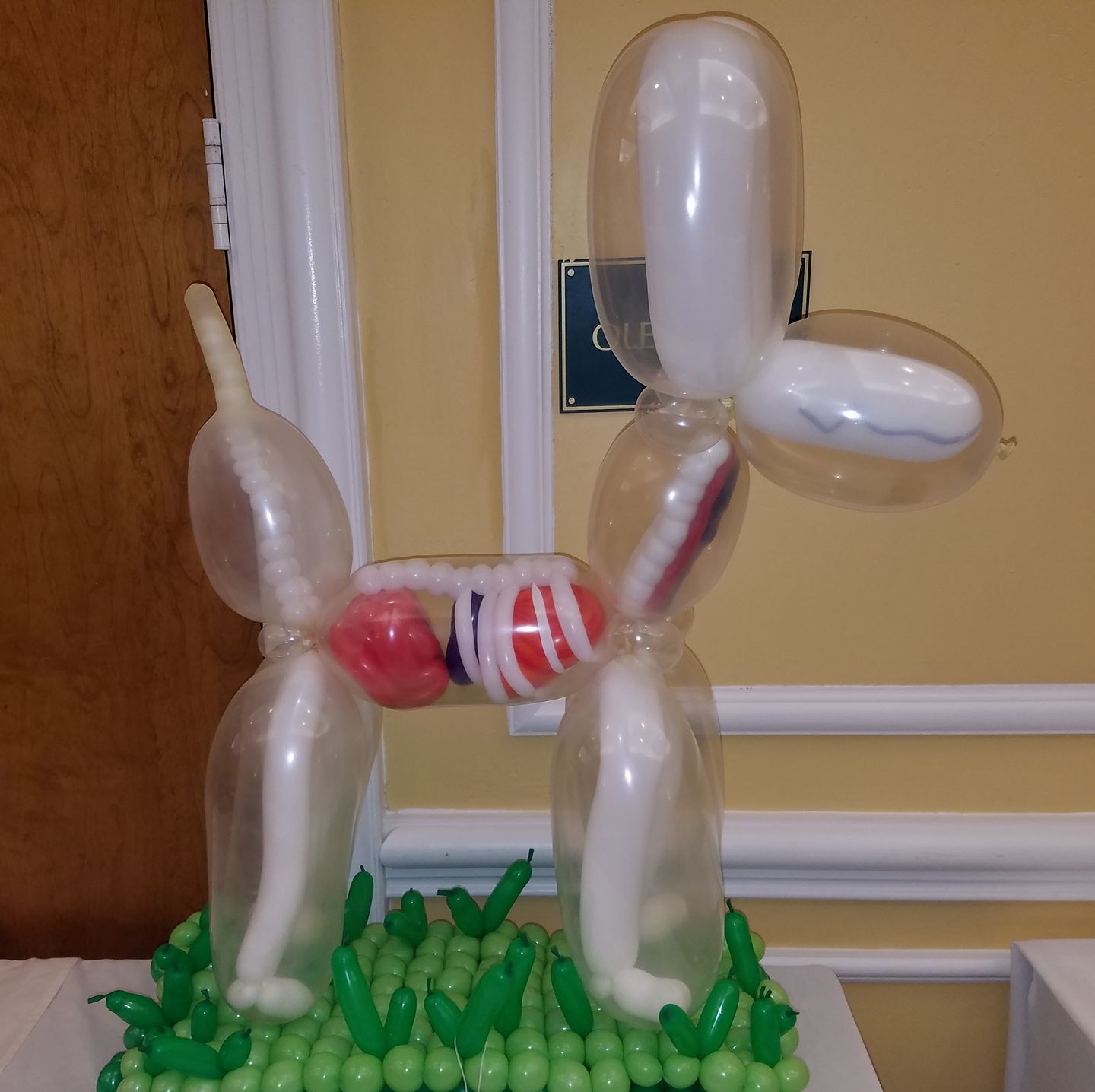 Skeletal Dog Balloon Sculpture