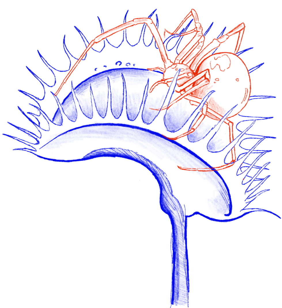 Ilustración_sin_título 6.png