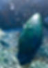 A85BF06F-9113-4833-A255-A05CF385FD16.jpe