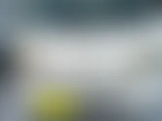 軽トラック購入