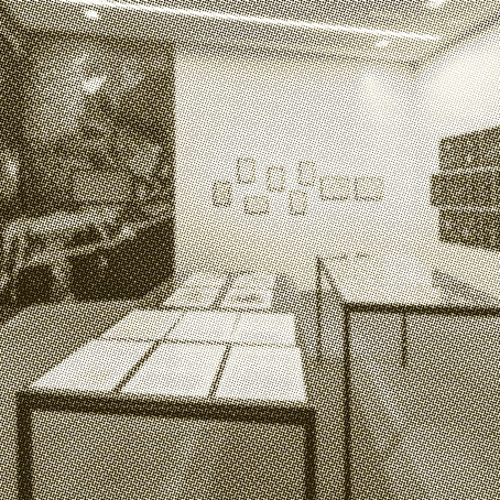 Week 2: READING- Between Exhibition & Exposition (ART727)