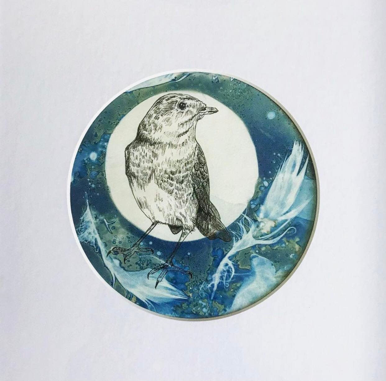 Birds Of A Feather Collection: Robin