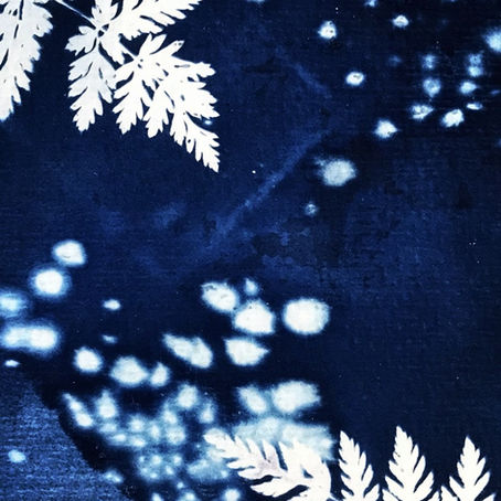 A Guide To Cyanotypes
