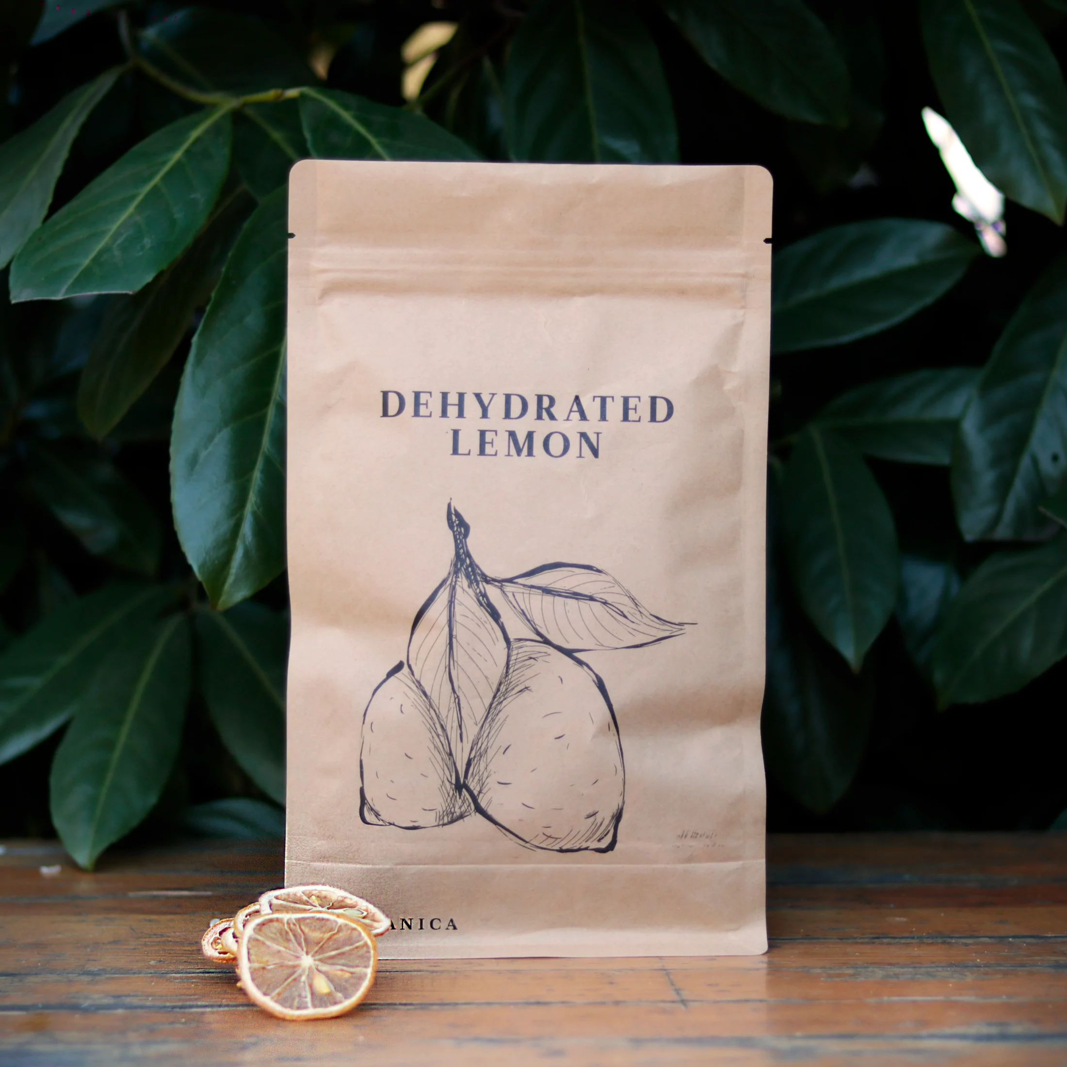 dehydratedlemon-front_461d4748-7fdb-4eeb-a7ab-d49f149ceb69_2200x2200.webp