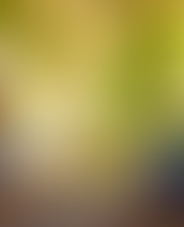 Scythes and Slivovica: A Tale of Heritage and Hospitality in Slovakia