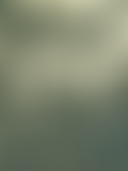 INTERNATIONAL WOMEN'S DAY