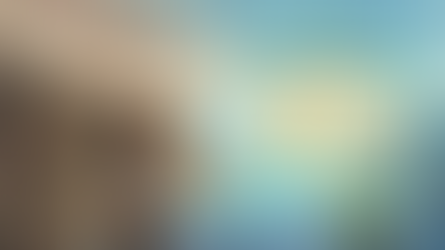 AEO: The only survive path in the AI search Era