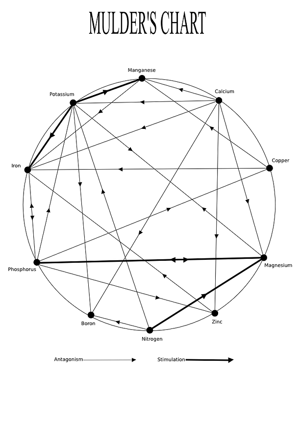 Mulder S Chart Of Nutrient Interaction